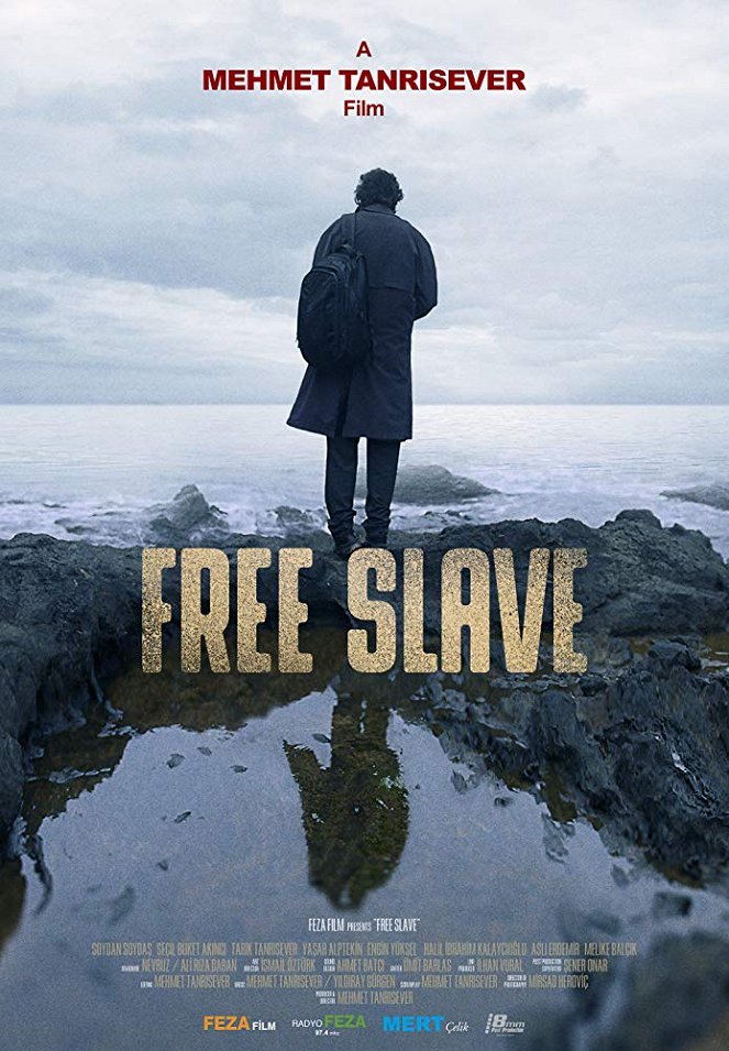 Free Slave - Posters
