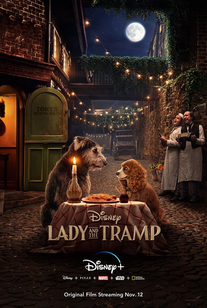 Lady a Tramp - Plagáty