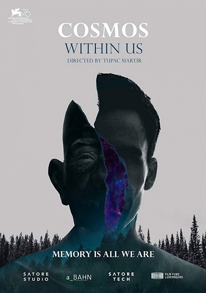 Cosmos Within Us - Carteles