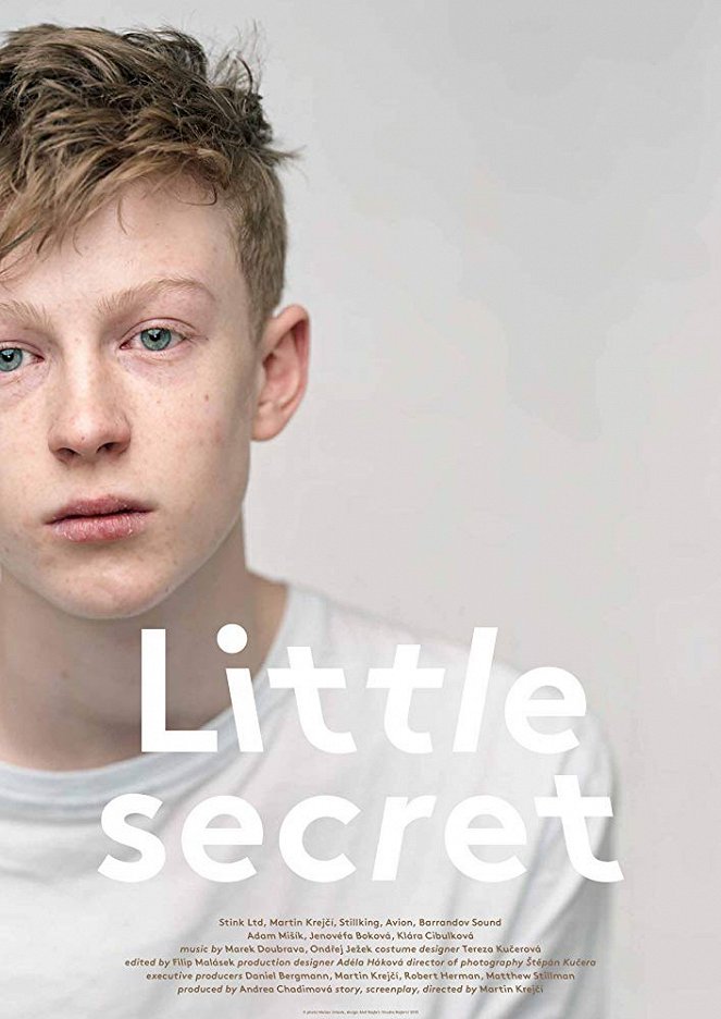 Little Secret - Posters