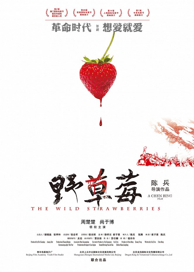 The Wild Strawberries - Plakáty