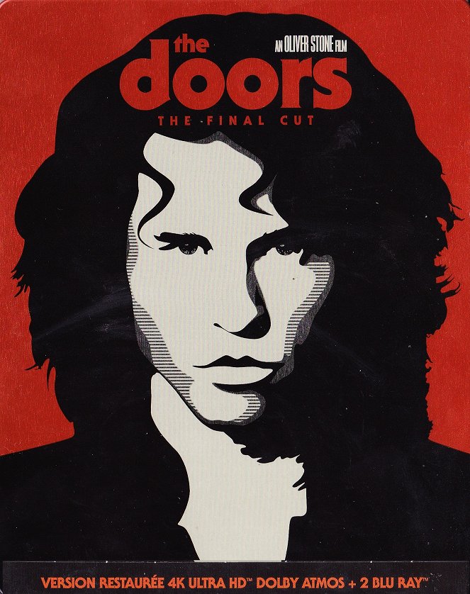 Les Doors - Affiches