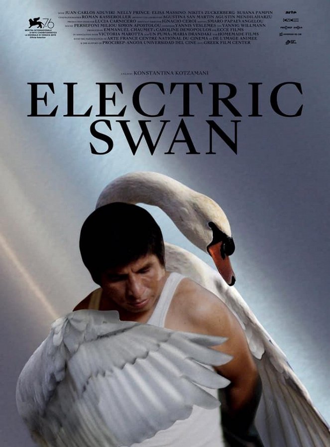 Electric Swan - Affiches