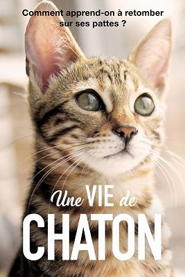 Une vie de chaton - Affiches