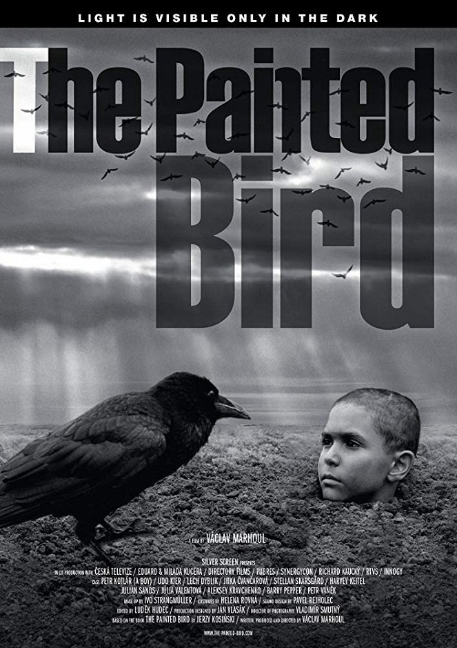 Malowany ptak - Plakaty