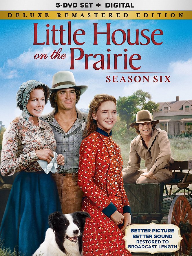 La Petite Maison dans la prairie - Season 6 - Affiches