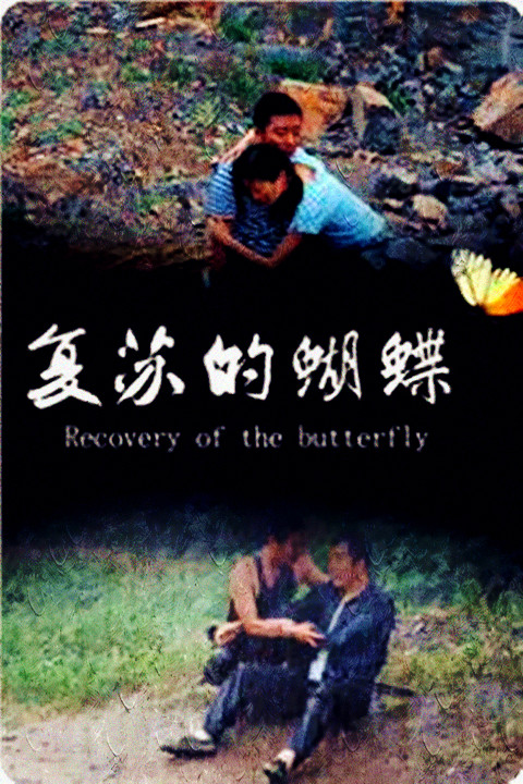 Recovery of the Butterfly - Plagáty
