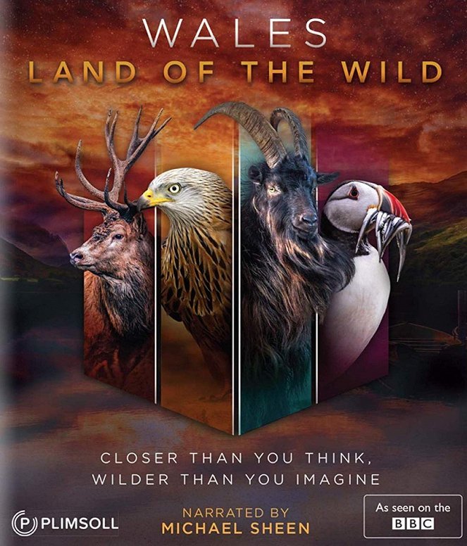 Wales: Land of the Wild - Affiches