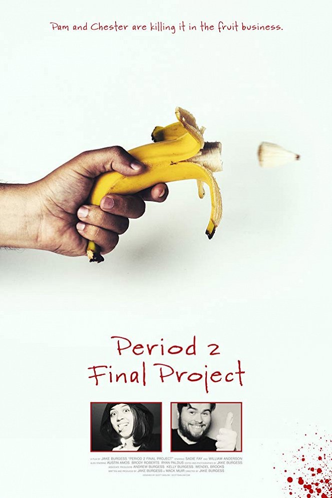 Period 2 Final Project - Julisteet