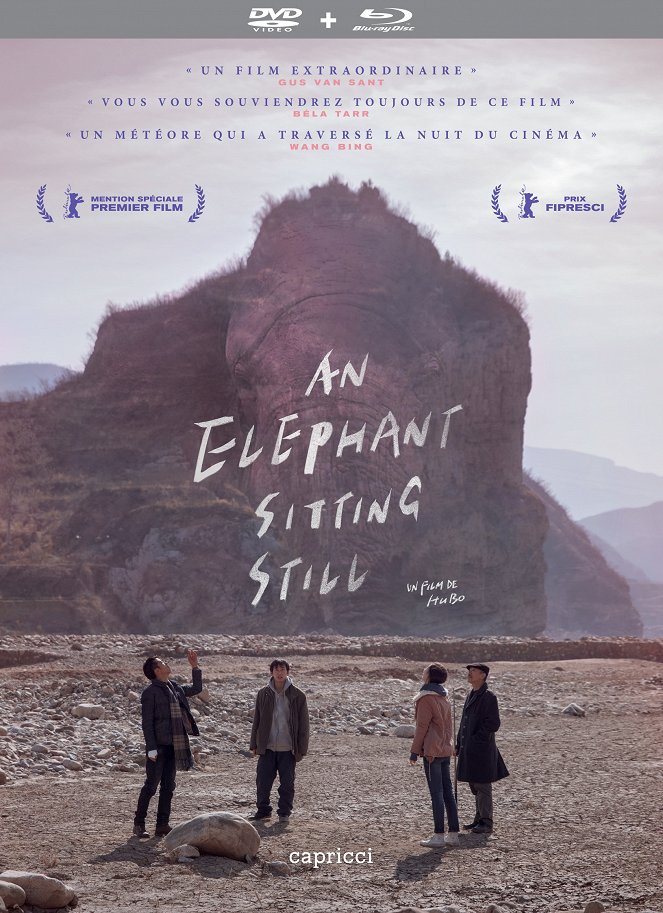 An Elephant Sitting Still - Affiches