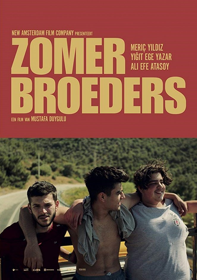 Zomerbroeders - Posters