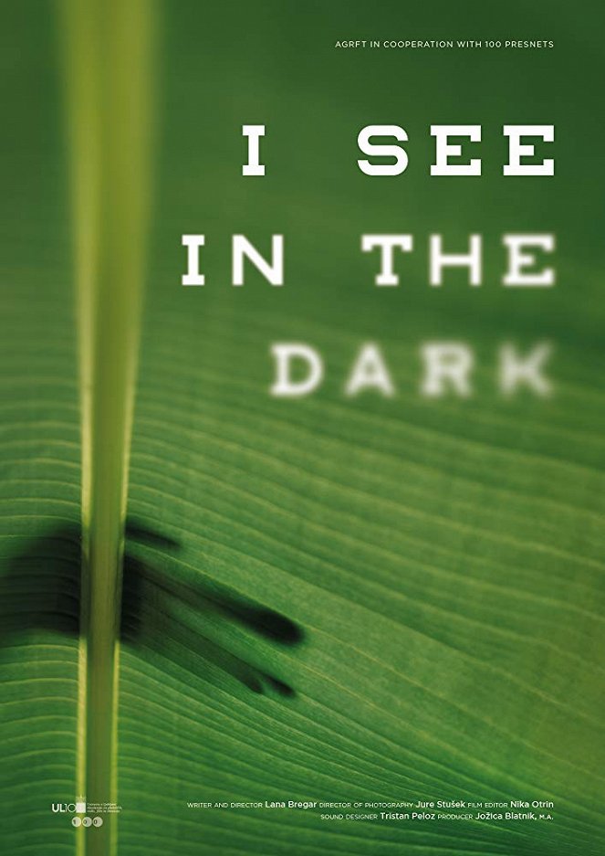 I See in the Dark - Posters