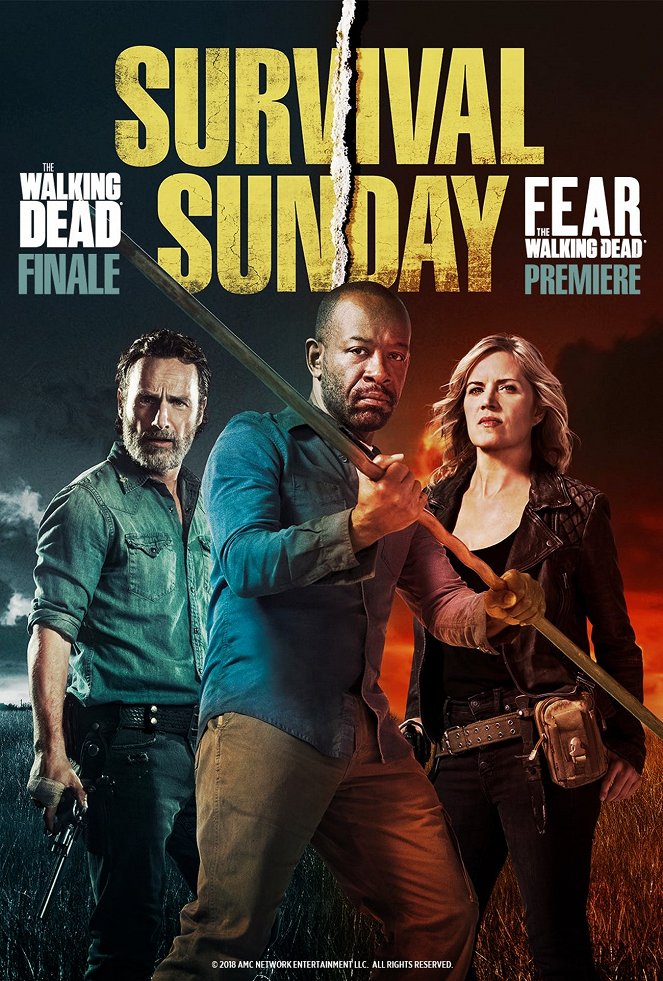 The Walking Dead - Colère - Affiches