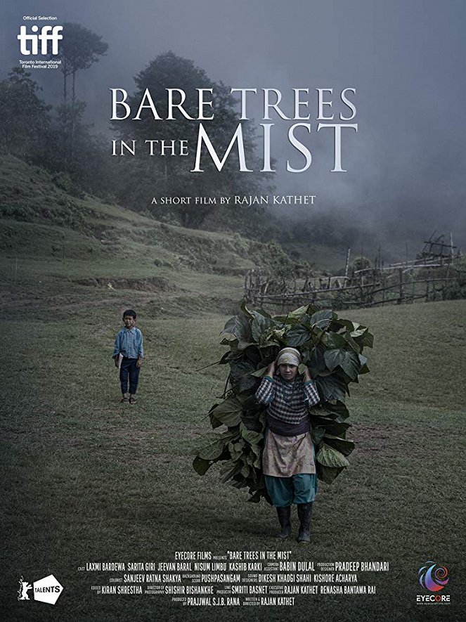 Bare Trees in the Mist - Plakáty