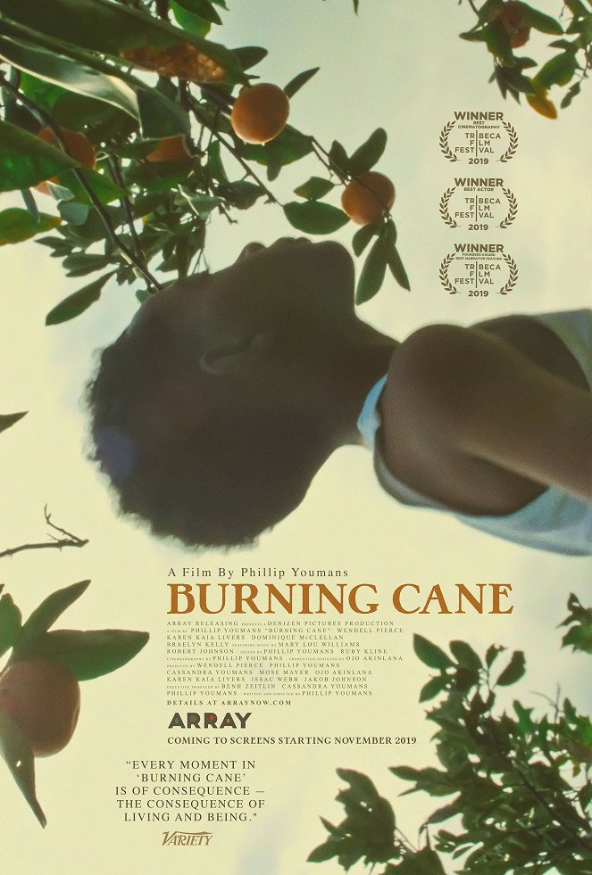 Burning Cane - Plakáty