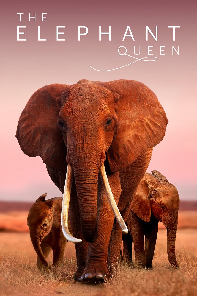 Sloní královna - Plagáty