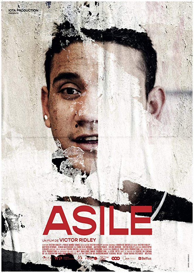 Asile - Plakate