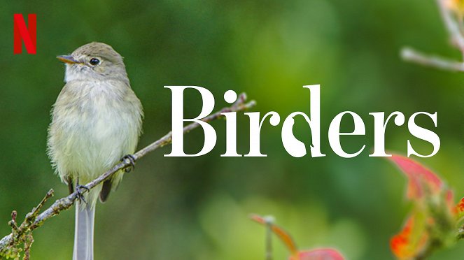 Birders - Carteles