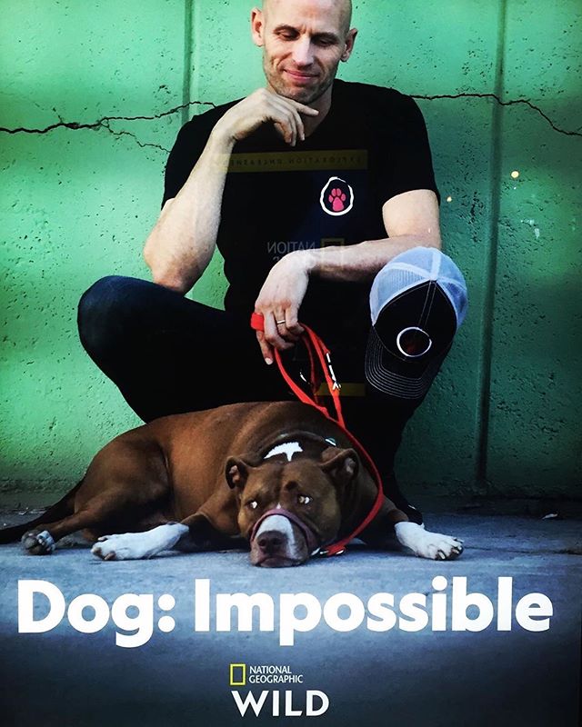 Dog: Impossible - Affiches