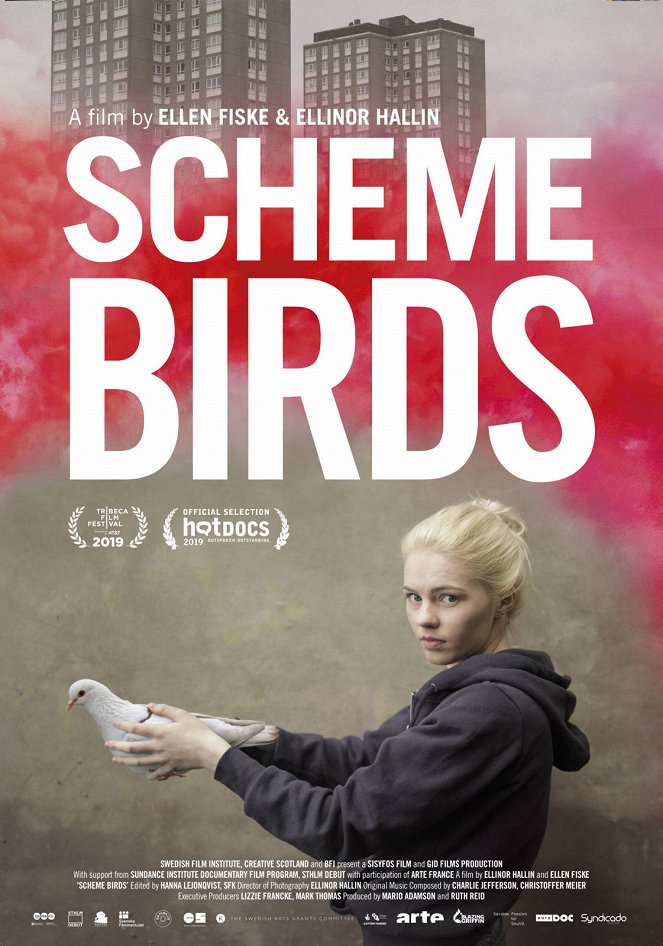 Scheme Birds - Posters