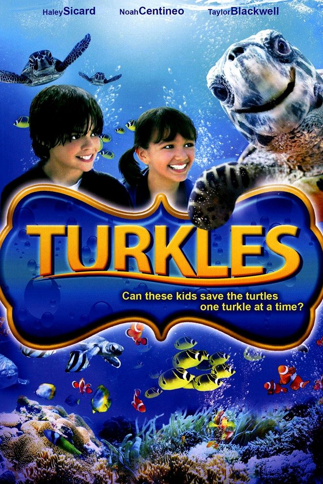 Turkles - Affiches