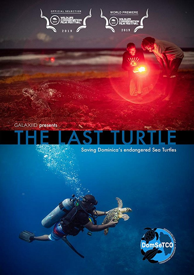 The Last Turtle - Affiches