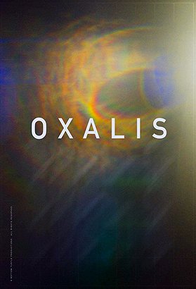 Oxalis - Posters