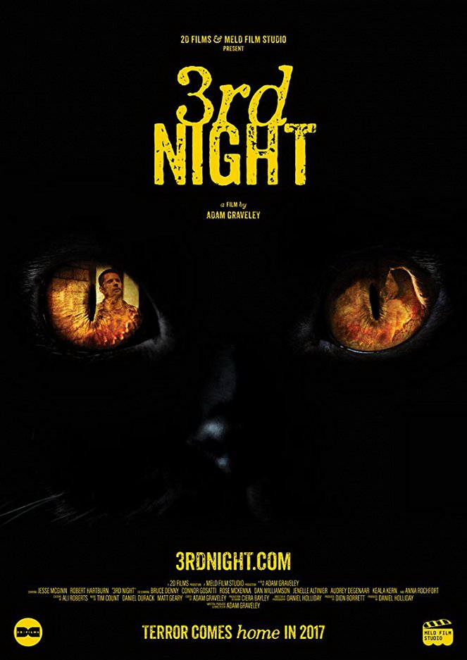 3rd Night - Posters