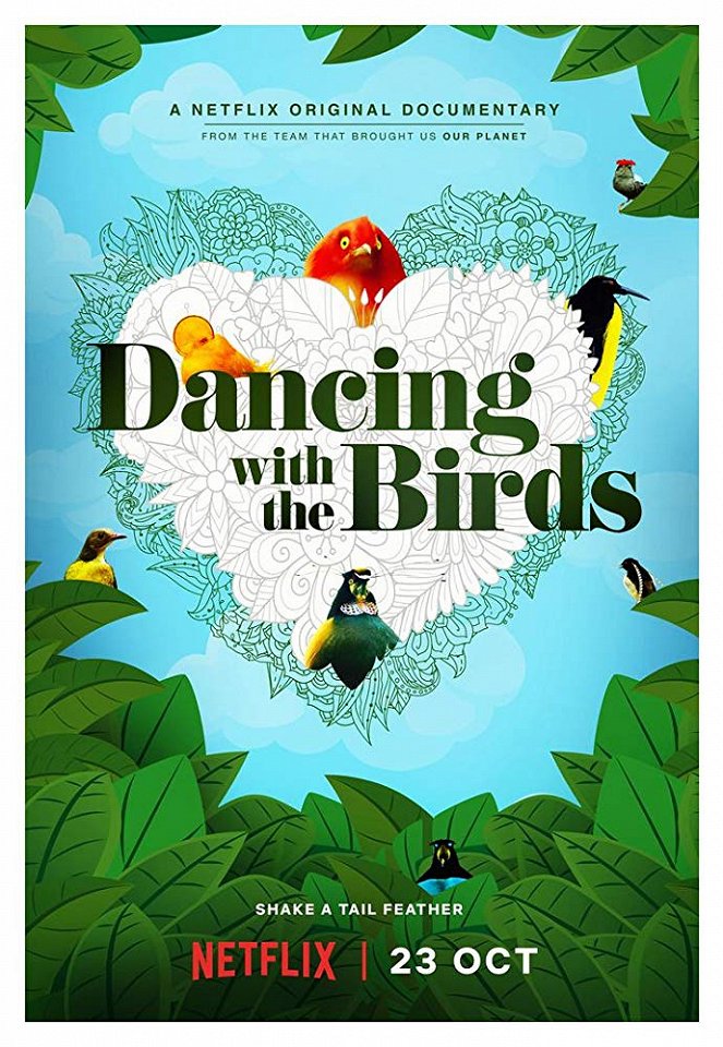 Když ptáci tančí - Plakáty