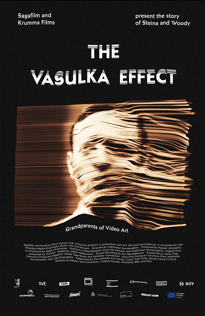 The Vasulka Effect - Posters