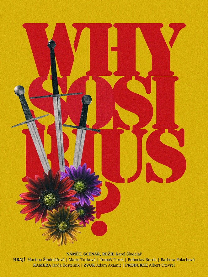 Why So Sirius - Affiches