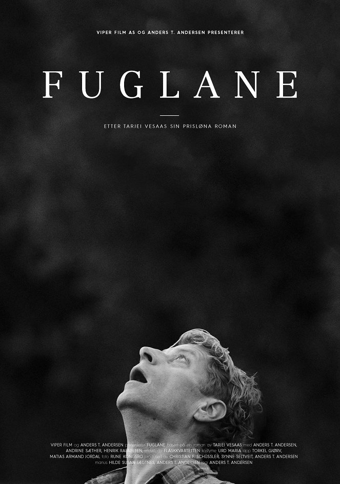 Fuglane - Posters