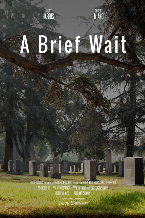 A Brief Wait - Posters