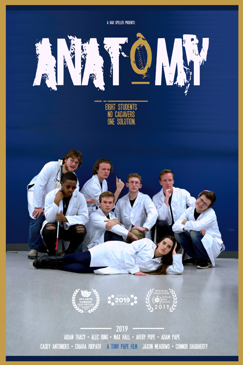 Anatomy - Posters