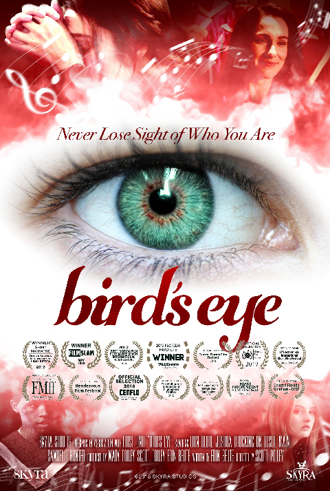 Bird's Eye - Julisteet