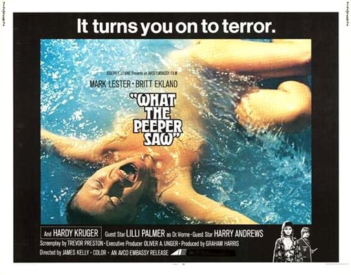 What the Peeper Saw - Posters