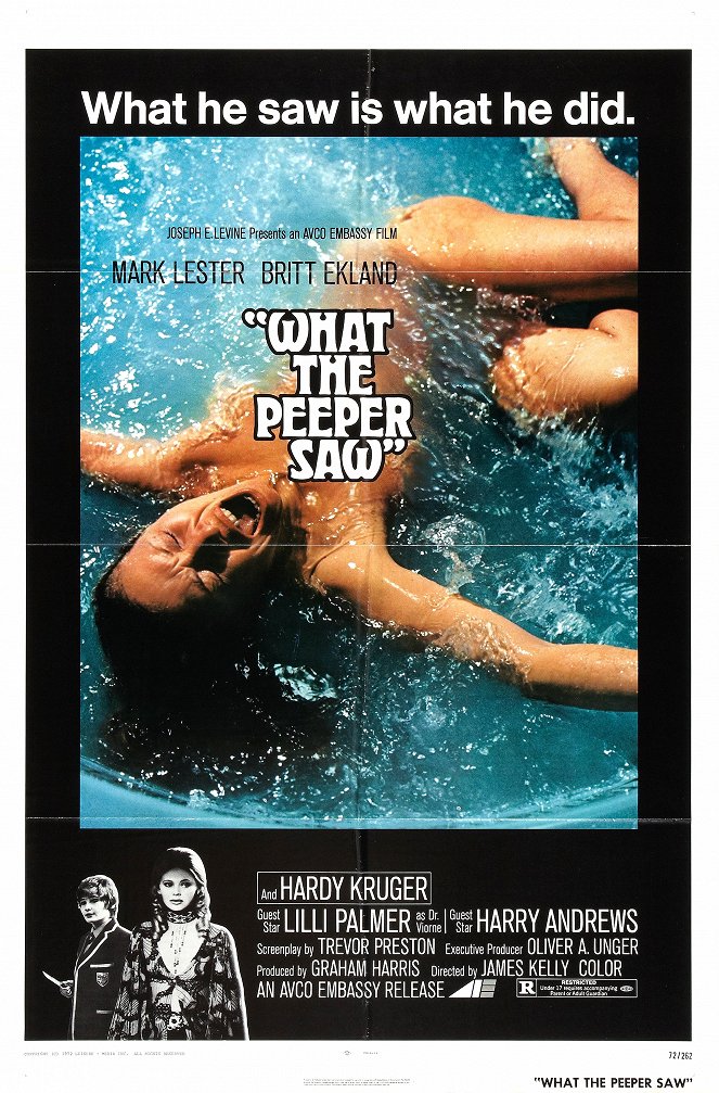 What the Peeper Saw - Posters