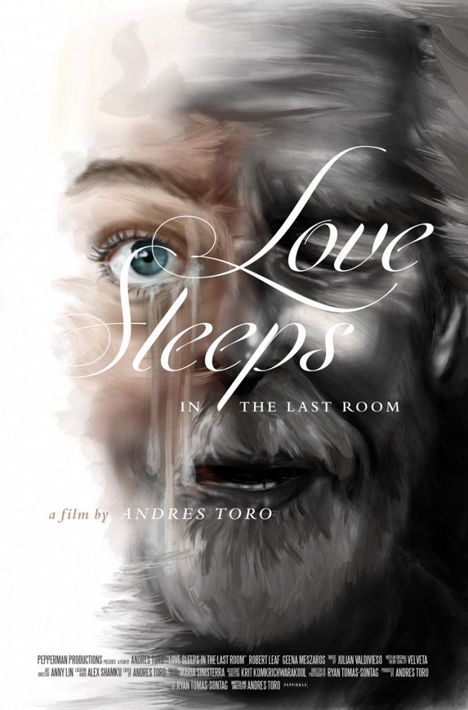 Love Sleeps in the Last Room - Posters