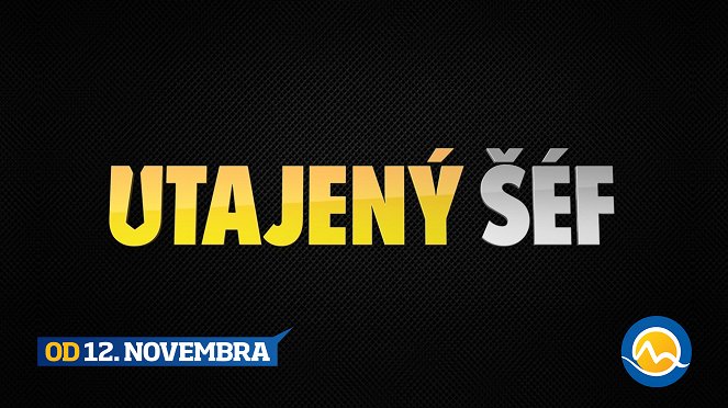 Utajený šéf - Plakate