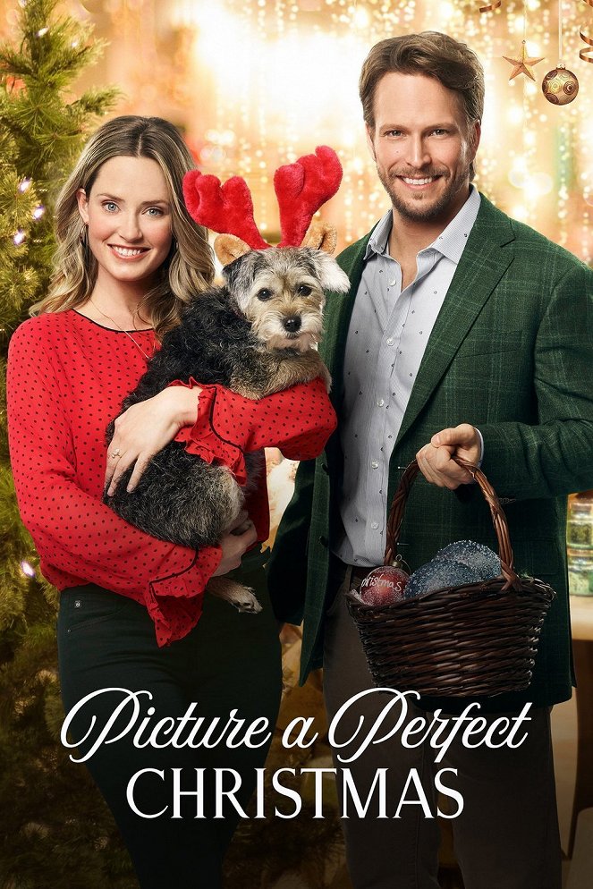 Picture a Perfect Christmas - Plakaty