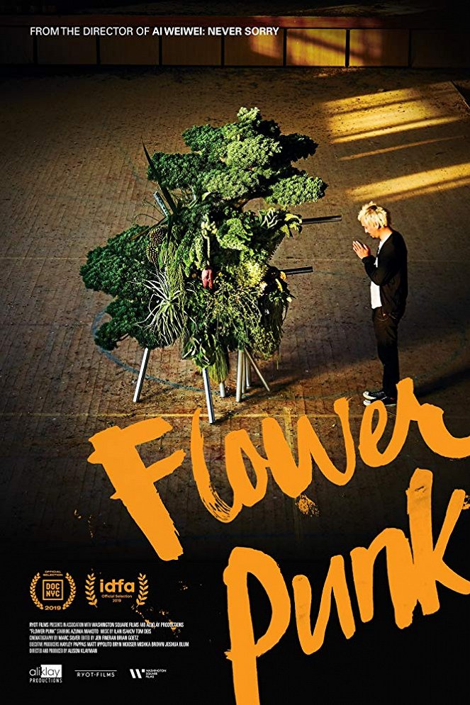 Flower Punk - Affiches