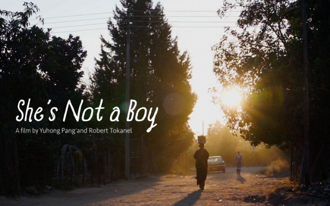 She’s Not a Boy - Posters