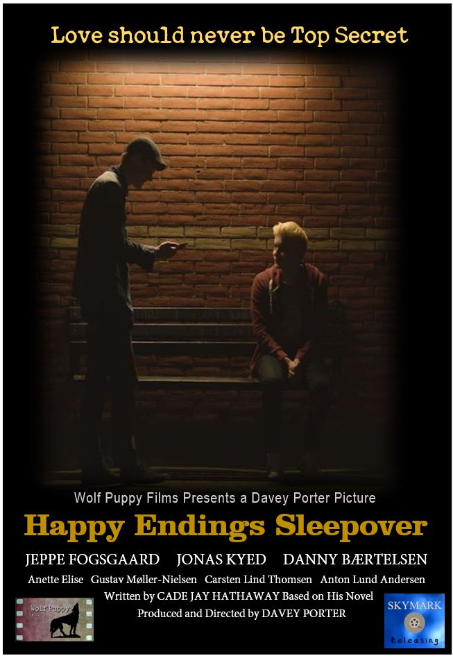 Happy Endings Sleepover - Posters