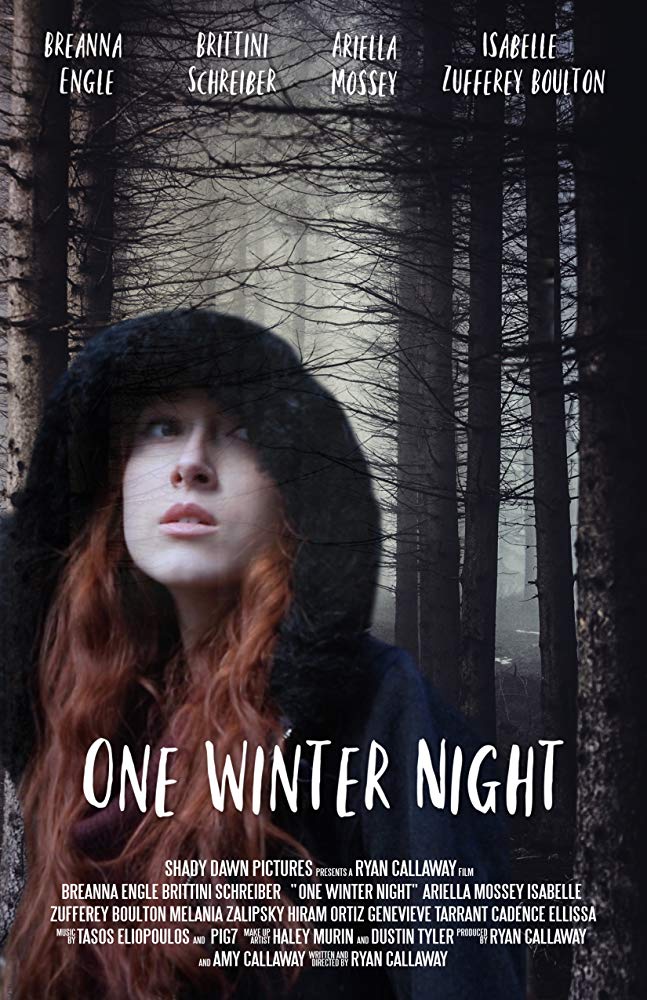 One Winter Night - Posters