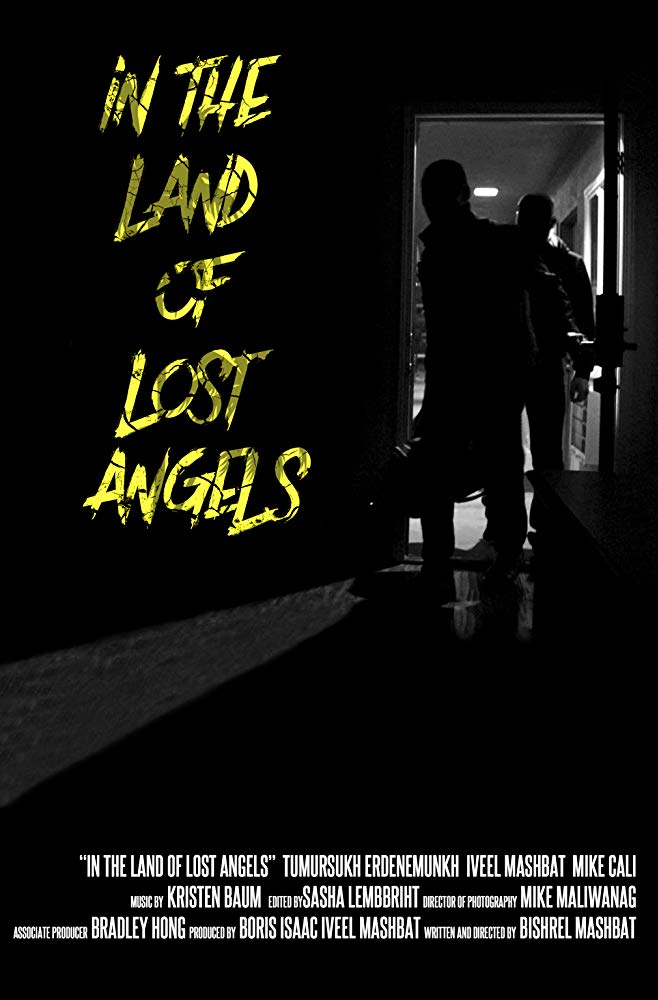In The Land Of Lost Angels - Julisteet