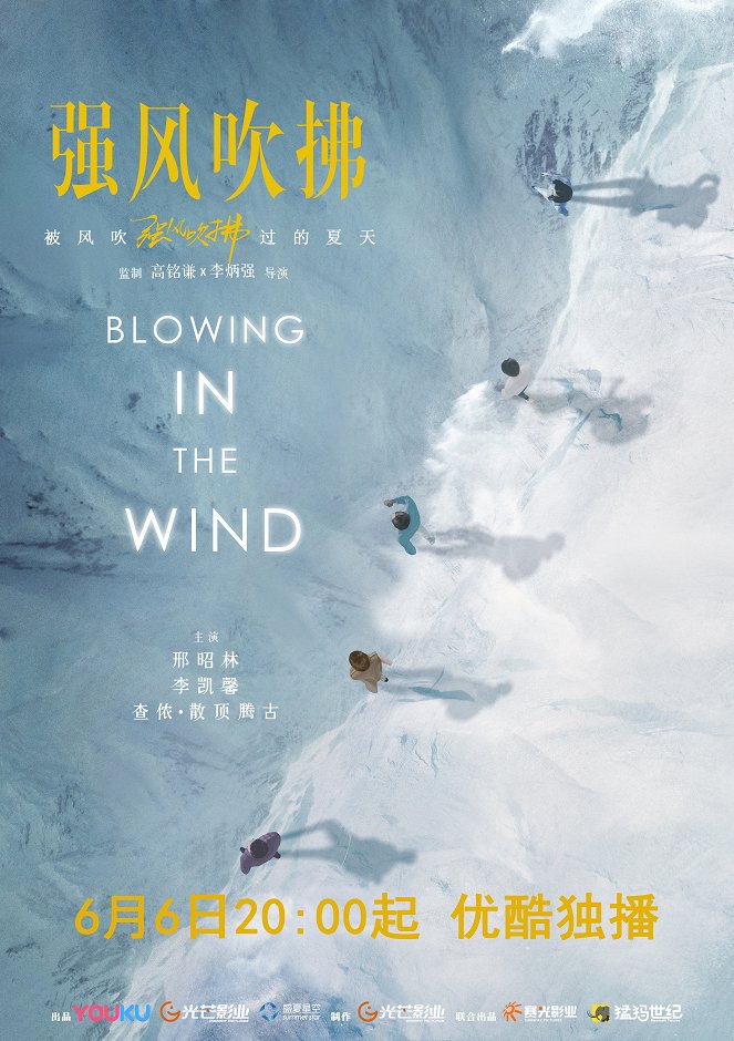 Blowing in the Wind - Affiches