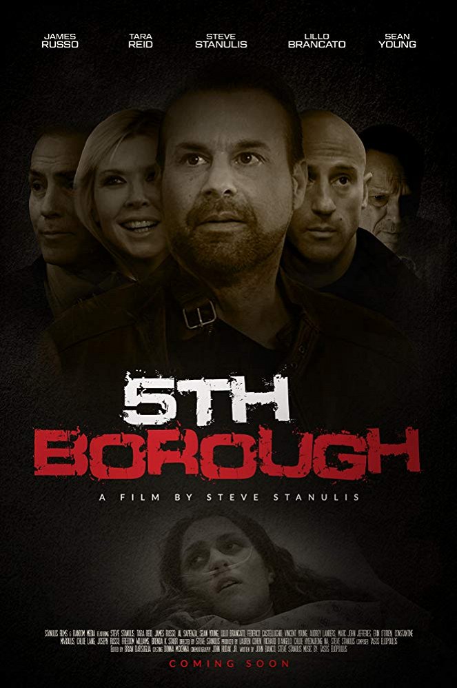 5th Borough - Carteles