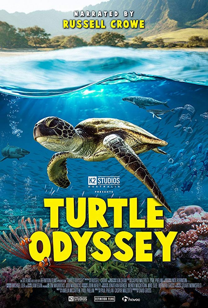 Turtle Odyssey - Plakaty