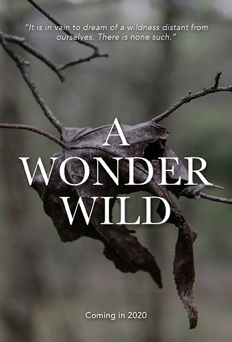 A Wonder Wild - Carteles