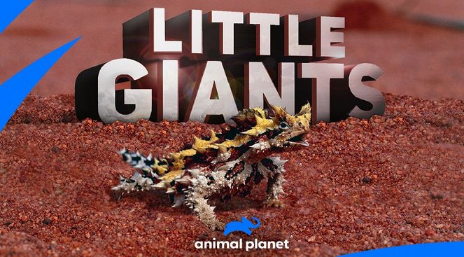 Little Giants – Kleine Tiere ganz groß - Plakate